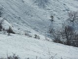 48-des chamois a la derniere sortie du vendredi